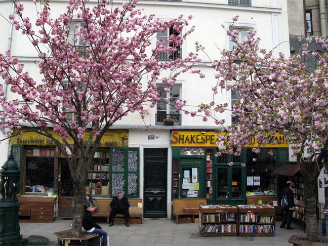 the bookshop